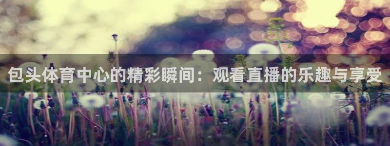 包头体育中心的精彩瞬间：观看直播的乐趣与享受