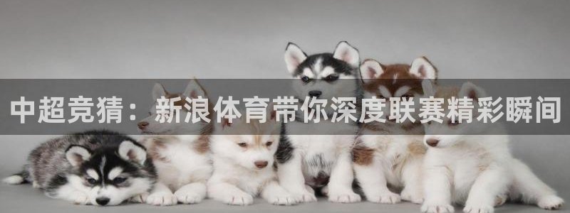 中超竞猜：新浪体育带你深度联赛精彩瞬间