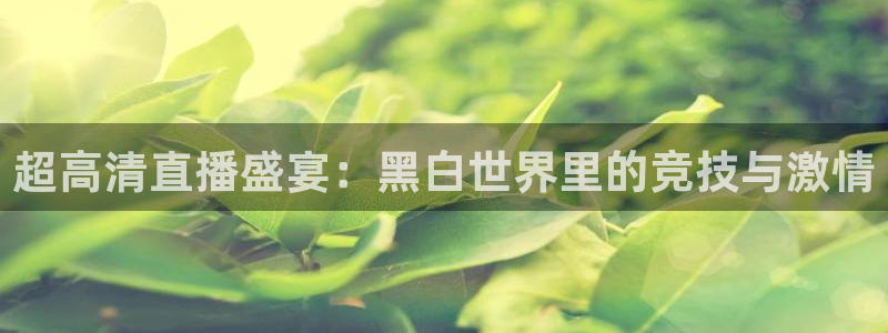 超高清直播盛宴：黑白世界里的竞技与激情