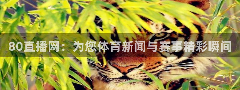 80直播网：为您体育新闻与赛事精彩瞬间