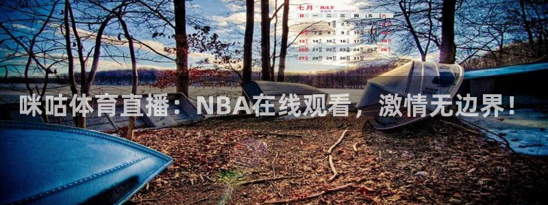 咪咕体育直播：NBA在线观看，激情无边界！